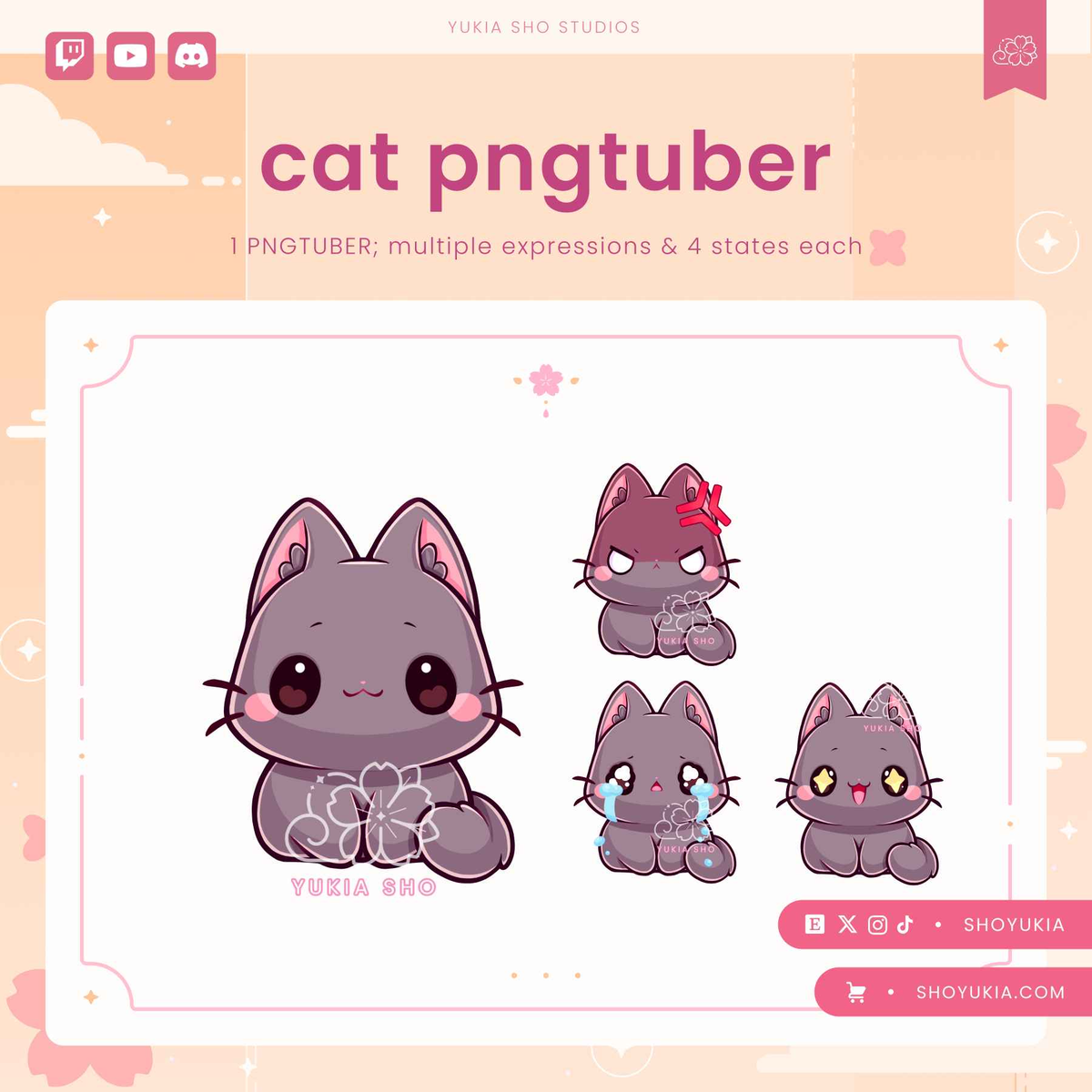 Cat Chibi PNGTuber