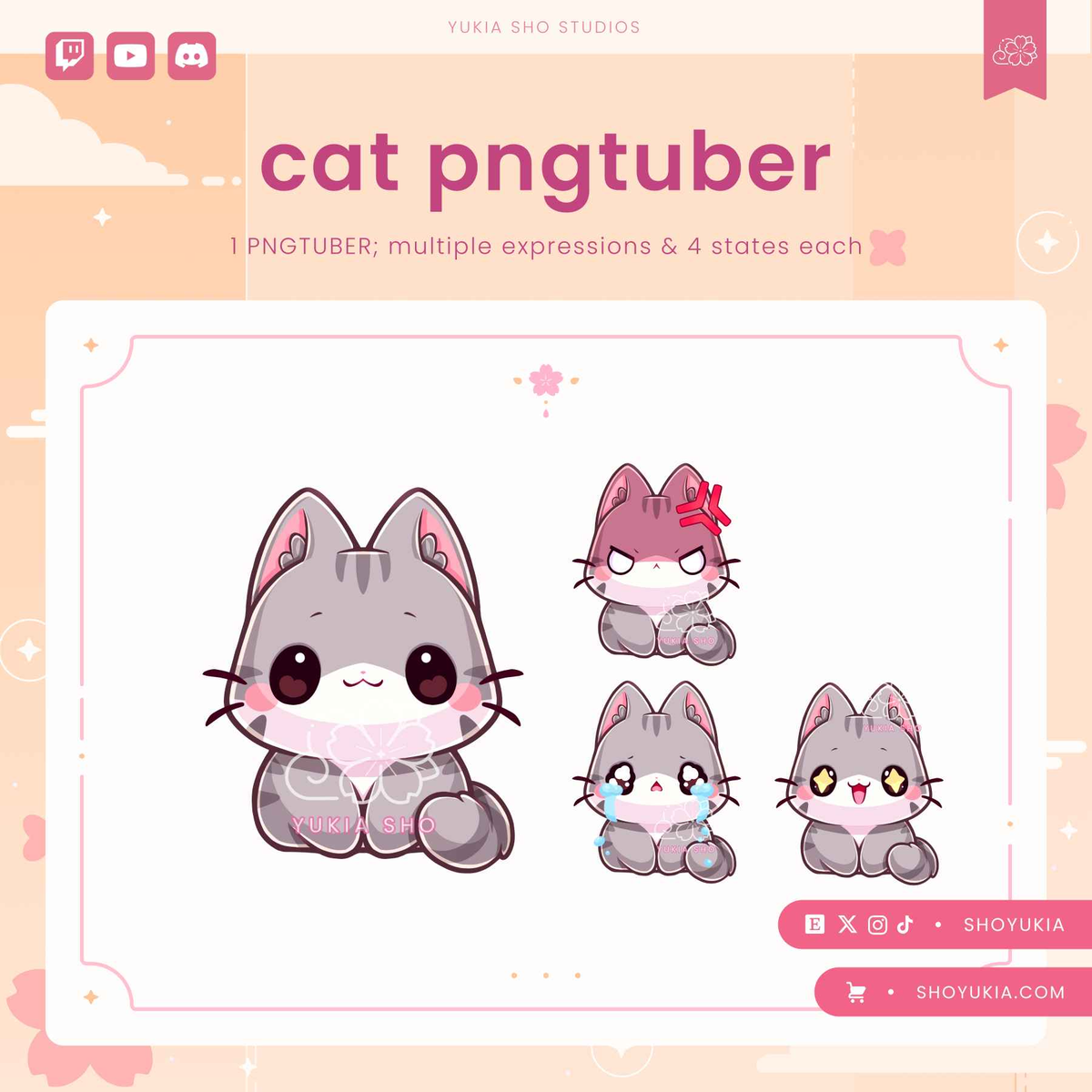Cat Chibi PNGTuber