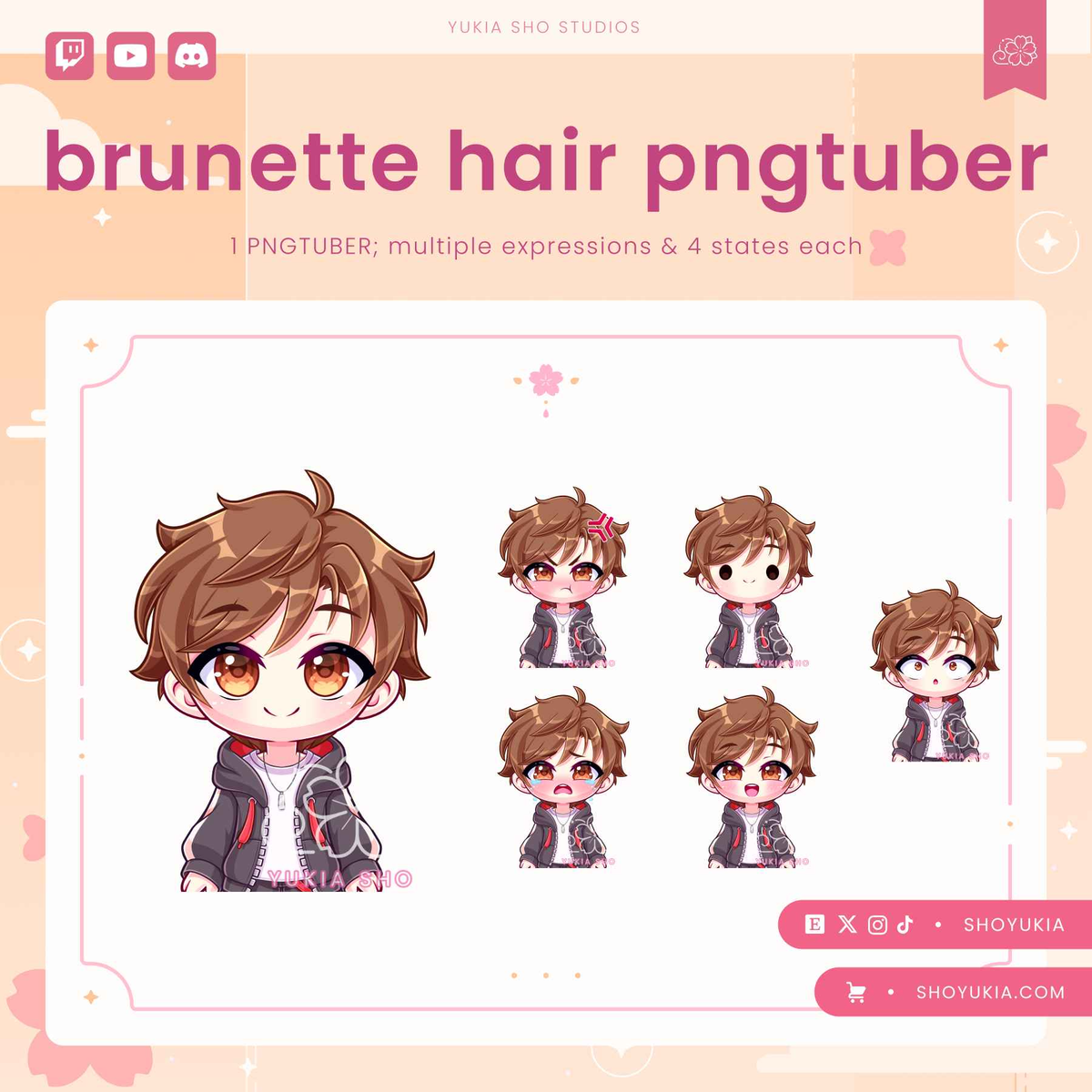 Brunette Hair Male Chibi PNGTuber