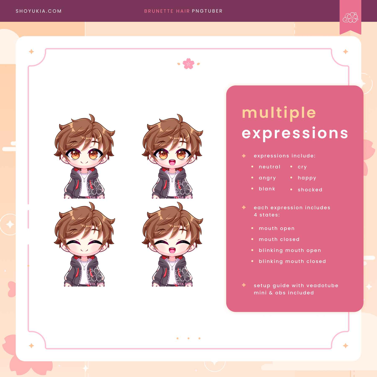 Brunette Hair Male Chibi PNGTuber