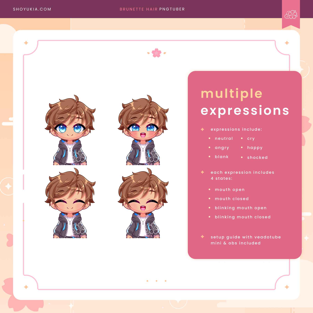 Brunette Hair Male Chibi PNGTuber