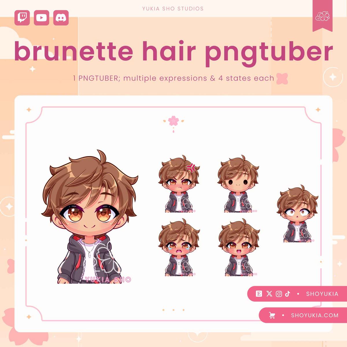 Brunette Hair Male Chibi PNGTuber