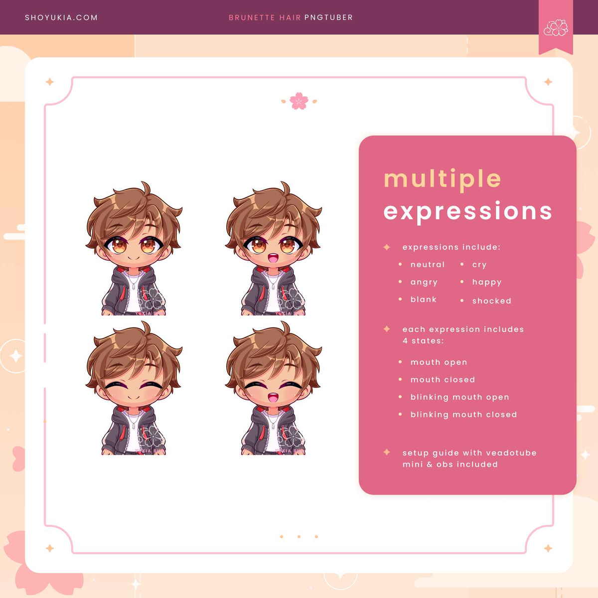 Brunette Hair Male Chibi PNGTuber