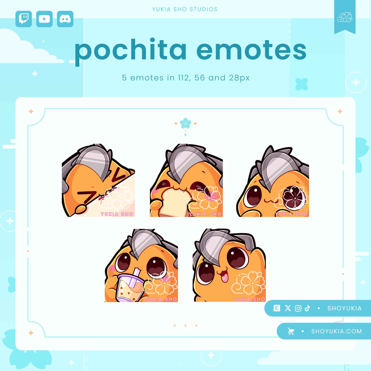 CSM Chita Emotes