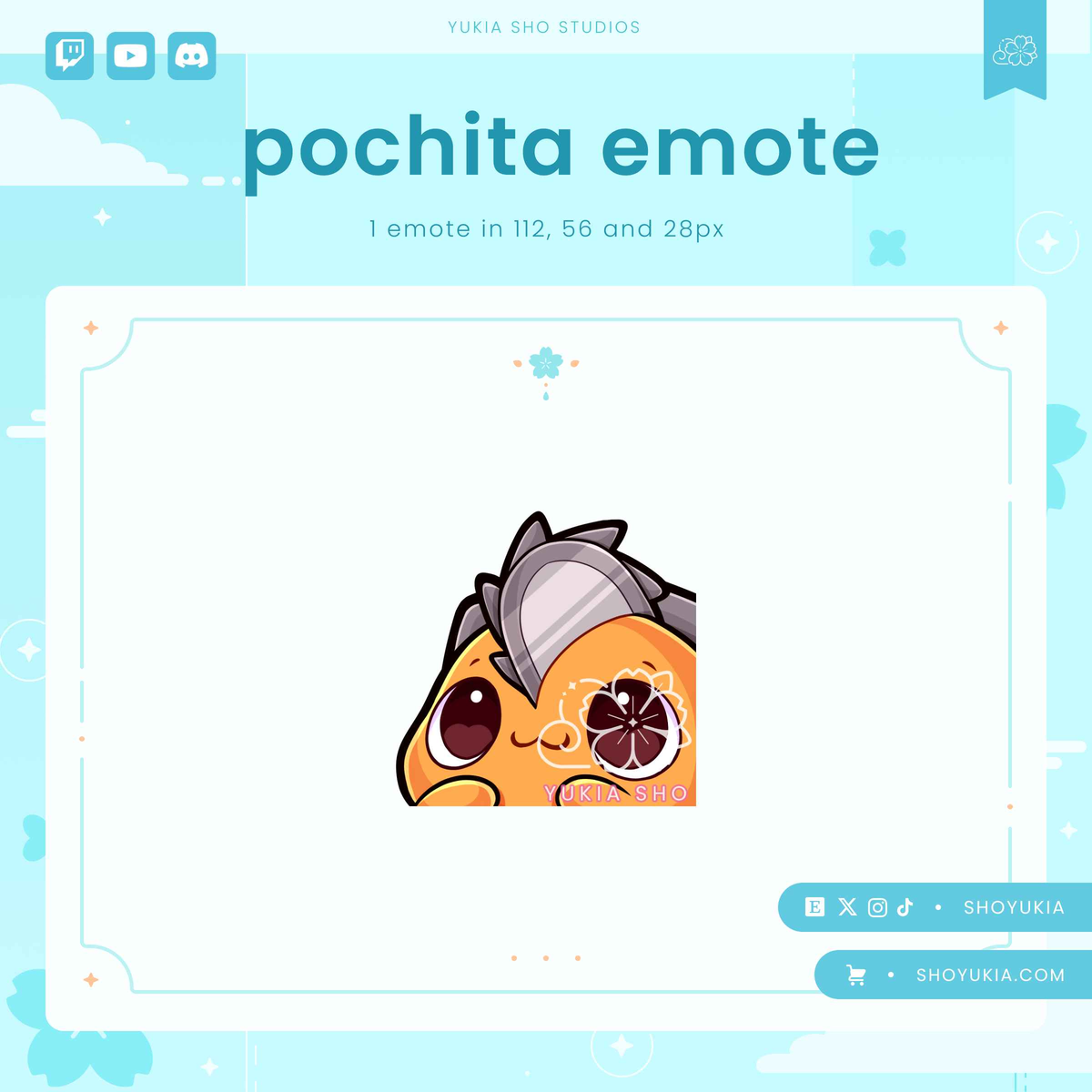 CSM Chita Emotes