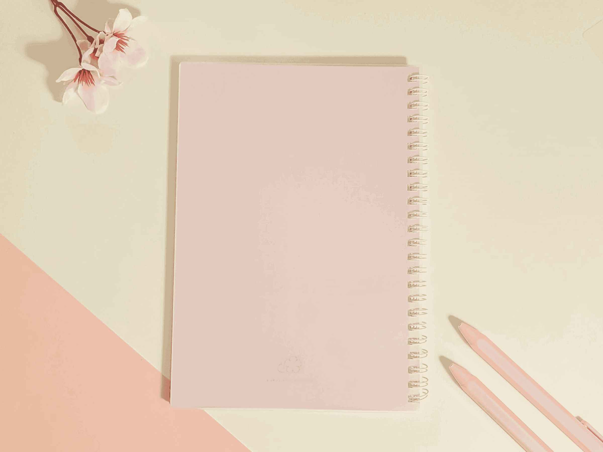 Usagi Moon A5 Reusable Sticker Book