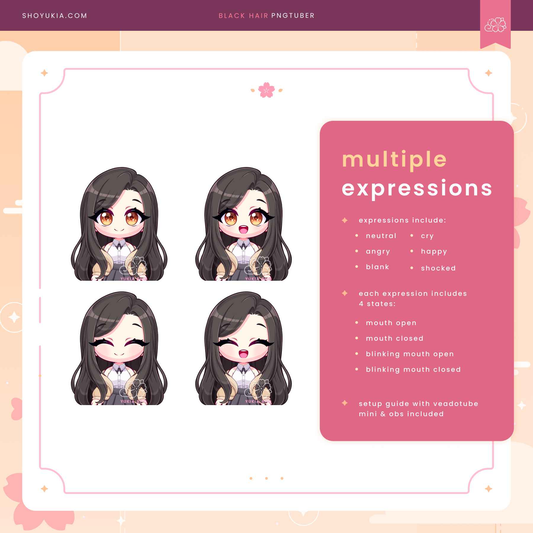 Long Black Hair Chibi PNGTuber