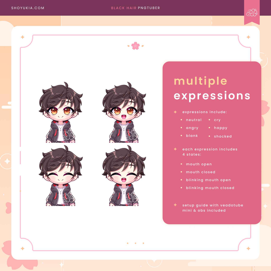 Black Hair Male Chibi PNGTuber