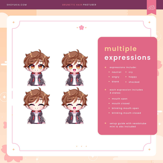 Brunette Hair Male Chibi PNGTuber