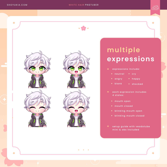 White Hair Male Chibi PNGTuber