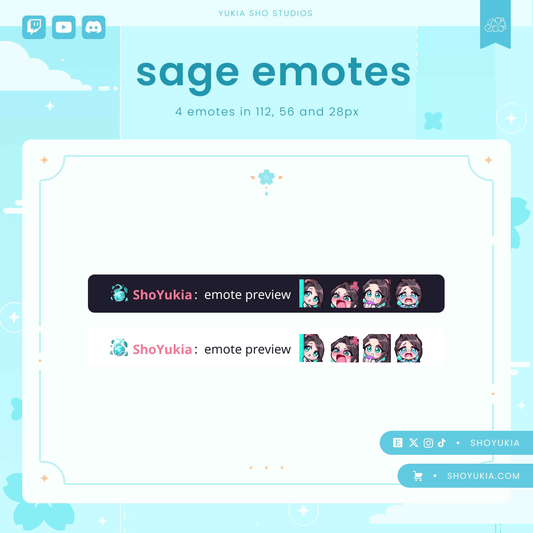 Valorant Sage Emotes