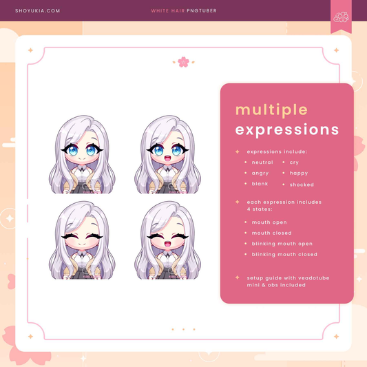 Long White Hair Chibi PNGTuber