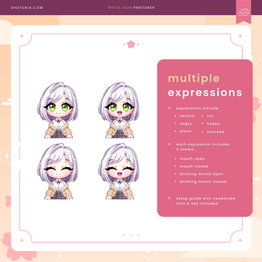 Short White Hair Chibi PNGTuber